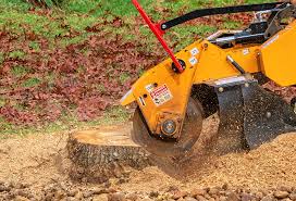 Best Commercial Tree Services  in Slater Marietta, SC
